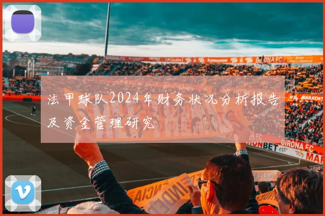 法甲球队2024年财务状况分析报告及资金管理研究