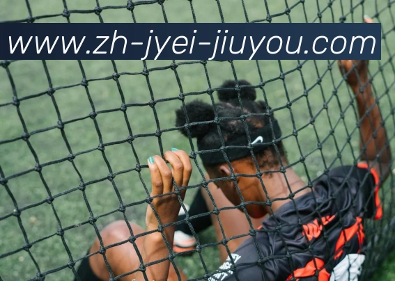 九游娱乐APP 高清赛事图